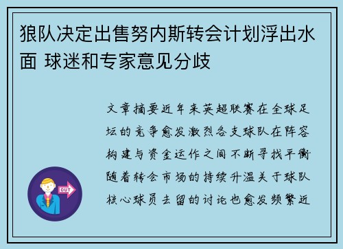 狼队决定出售努内斯转会计划浮出水面 球迷和专家意见分歧